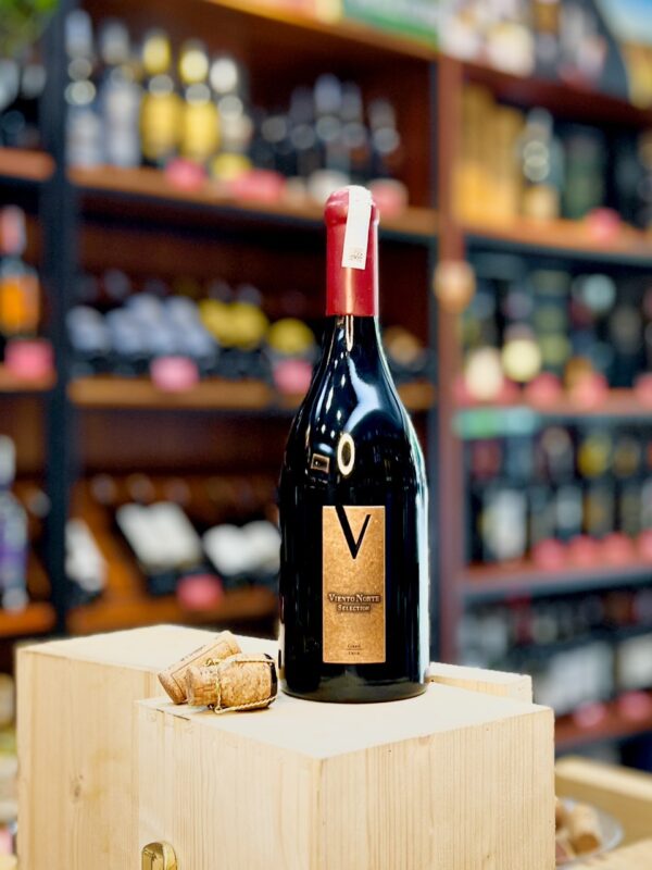 VIENTO NORTE - LIMITED - Hình ảnh 3