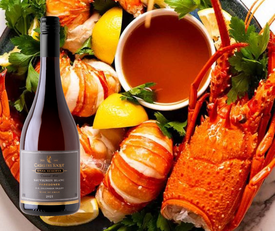 Rượu vang trắng ngon Terroir Selection Gran Reserva Sauvignon Blanc