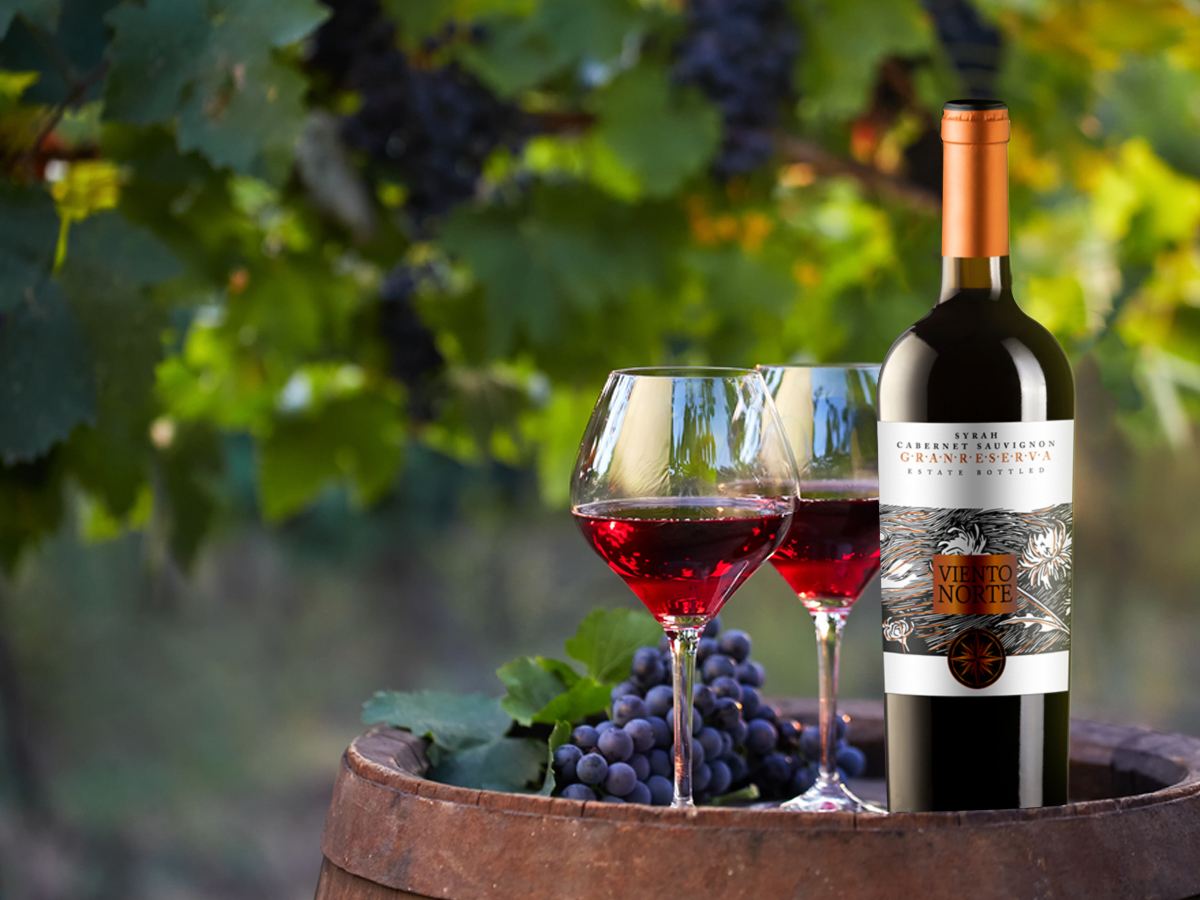 Rượu vang nhập khẩu Viento Norte Gran Reserva
