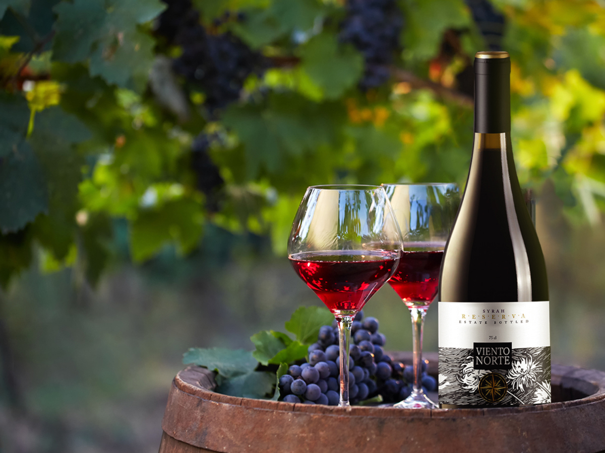 Viento Norte - Reserva Syrah